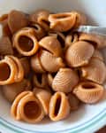 Sfoglini Spicy Calabrian Chili Lumache Pasta