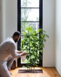 Man tending to a potted plant by a large window, with a view of trees and a house outside.