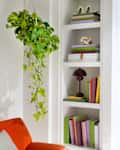 Orange chair, yellow abstract art, hanging plant, and colorful books on white shelves in a bright room.