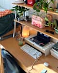 Plants and items on shelves in white dorm
