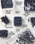 Various blueberry storage methods labeled: vinegar bath, rinsed, produce sheet, and paper towel-lined clamshell.