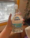 Someone bottle of Dawn soap.