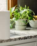 Paper towel roll on granite kitchen counter near sink and potted plants.