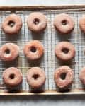 Apple cider donuts on wire rack