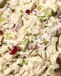 overhead shot of chicken salad in a white bowl.