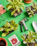 Gardening tools, seed packets, and seedlings on a green surface, including a trowel, hose nozzle, and garden gnome.