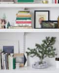 Bookshelf with assorted books, framed photos, decorative trees, a small pine branch, and a vintage camera.