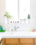 Kitchen sink with potted plants on windowsill, letter blocks spelling "MSAB," and colorful sponges in glass jars.