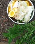 Bowl of fruit and vegetable peels on soil next to green rosemary plant.
