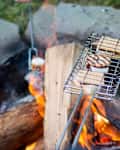 Person roasting marshmallows over a campfire with a grill basket, surrounded by stone fire pit and grass.