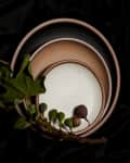 Stacked ceramic plates with a fig branch and green leaf on a dark fabric background.