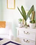 White dresser with potted plants, a mirror, and a framed picture on a light green wall.