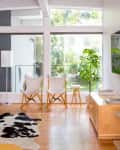 Living room with two white butterfly chairs, a cowhide rug, a wooden console, and a large potted plant by a window.