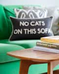 Green sofa with a "No Cats on This Sofa" pillow, wooden coffee table with books, and a vase of orange flowers.