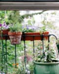 Balcony with potted plants and flowers, including lavender and petunias, viewed through an open window.