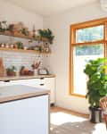 Bright kitchen with wooden dining table, potted plants, open shelves, and large windows.