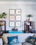 Living room with a gray sofa, blue peacock pillows, wooden shelves, plants, and framed art on a light gray wall.