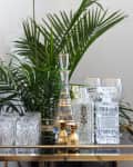 Gold bar cart with crystal decanters, glasses, and a lush green plant in the background.