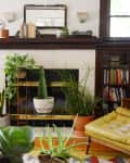 Living room with yellow armchair, ottoman, plants, bookshelves, and a fireplace.