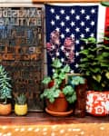 Assorted potted plants on a wooden table with a vintage floral painting, American flag, and decorative wall art.