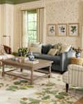 Ruggable Sanderson collection rug in living room