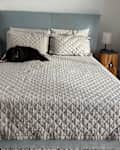 Dog laying on Bear mattress with neutral comforter on top.