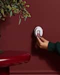 Pura holiday scents