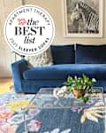 Navy blue velvet Sloan chaise sleeper storage sectional sofa with plush cushions, a glass coffee table, and a colorful floral rug. A zebra print hangs on the wall.