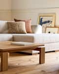 Living room with West Elm coastal design sofa and other furniture