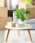 Living room with moving boxes, a gray sofa, a white round table with a potted plant, mug, and cardboard box.