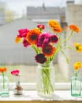 Colorful ranunculus flowers in vintage glass bottles on a sunny windowsill.