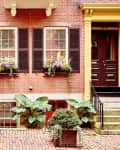 Red and black doors on a brick townhouse with window boxes, shutters, and potted plants on a cobblestone street.