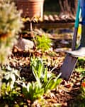 Woman digging a hole in the garden with a spade
