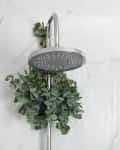Branches with green eucalyptus leaves in shower