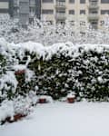 Winter snow covering patio and garden with a building on background.
