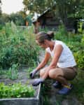 Young woman in T-shirt and shorts weeds bed