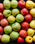 4 varieties of apples in a cardboard box