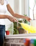 Woman cleansing windowsill with feather duster