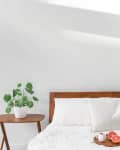 Bed with white pillows and blanket, wooden headboard, side table with plant, and tray with grapefruit and cup.