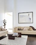 Modern design living room in luxury home with dark hardwood floors, and horse art print on the wall. Mill Valley, California, USA