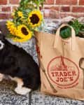 Fluffy black and white puppy next to a Trader Joe's paper bag with sunflowers and greens.