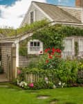 A village cottage scene in the hamlet of Siasconset, Nantucket Island, MA
