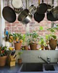 Saucepans hanging over sink against potted plants on window sill in domestic kitchen