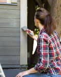 Woman worker painting wooden house exterior wall with paintbrush and wood protective color home improvement concept.