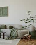 A modern, minimalist interior with a large sofa and natural accents. Soft greens bring harmony to the space, creating an elegant, calming atmosphere