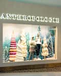 BLOOMINGTON, MN, USA, DECEMBER 13, 2024: Anthropologie retail store at the Mall of America.