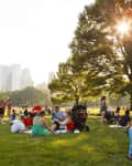 People enjoying a beautiful summer day in Sheep Meadow, Central Park. The sun shines through the trees in the late afternoon.