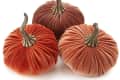 Three velvet pumpkins in shades of orange and brown with realistic stems.