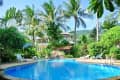 Tropical resort pool surrounded by palm trees, lounge chairs, and lush greenery.