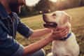Man in denim shirt petting a happy Labrador with a blue collar in a sunny park.